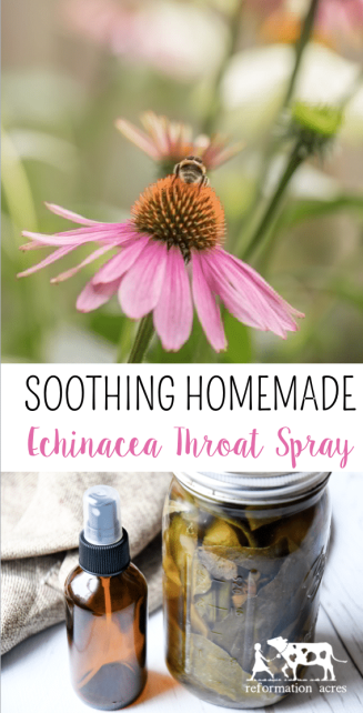 Need a DIY Sore Throat Remedy? Try this soothing natural Echinacea Throat Spray made with the herbal ingredients echinacea purpea, sage tea, and propolis. A mist to the back of your throat brings instant relief!