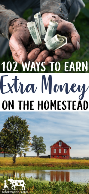 Want to put your skills to use and earn money homesteading? Here are over 100 side jobs you can do to make money off the land on a small farm.