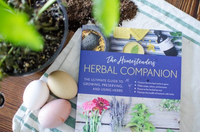 The Homesteader's Herbal Companion by Amy Fewell