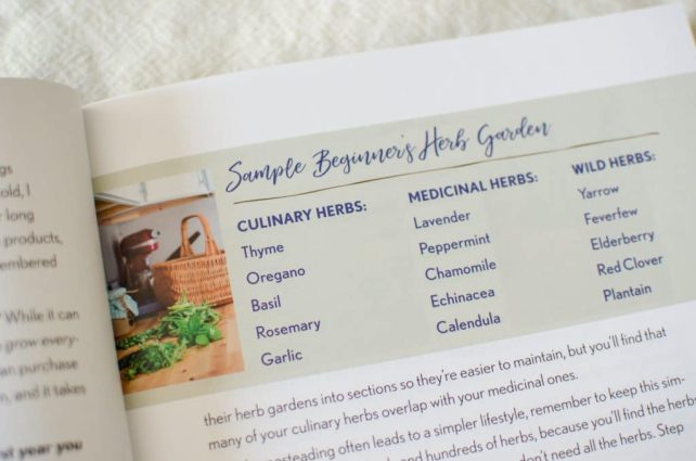 There are many herbs you could grow in your garden, but how to choose which ones? These tips will help beginner's choose what to plant in the herb garden.
