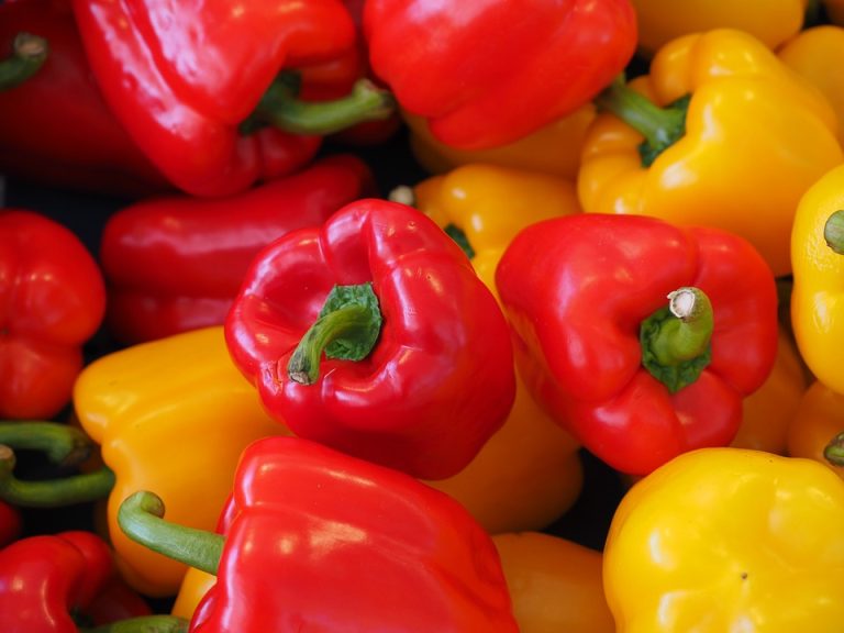 harvest a pepper