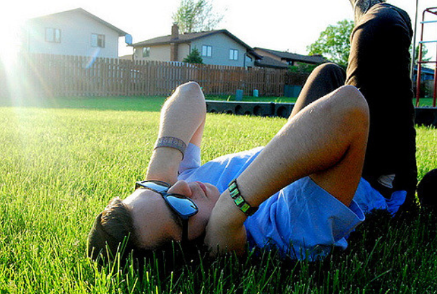 Chiggers in the grass