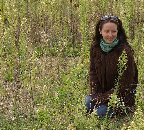 Wear Appropriate Clothing To Avoid Chiggers
