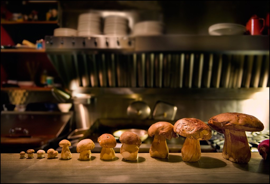 Mushrooms