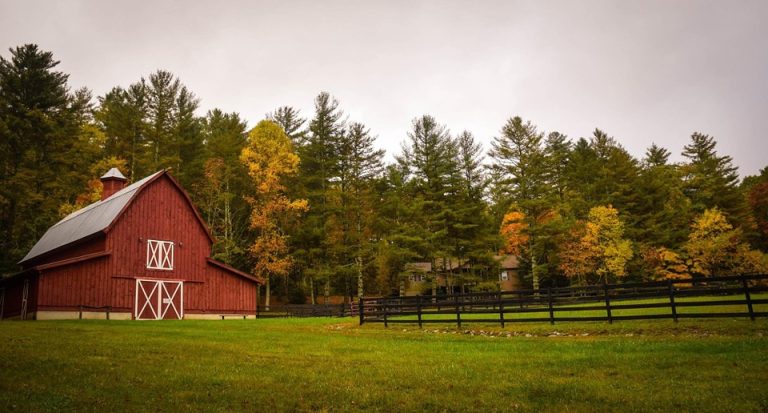 Homesteading in a barn