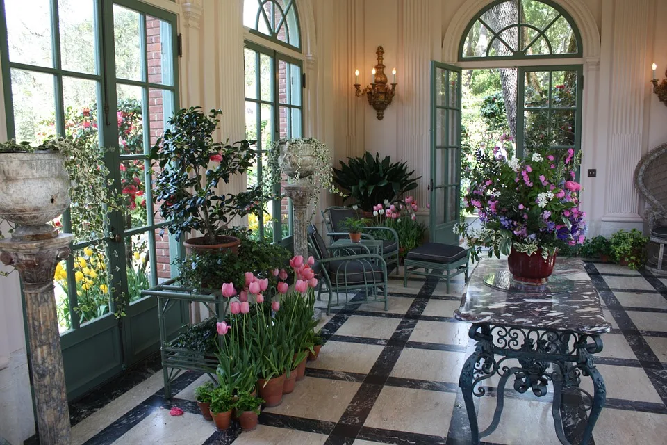 indoor plants