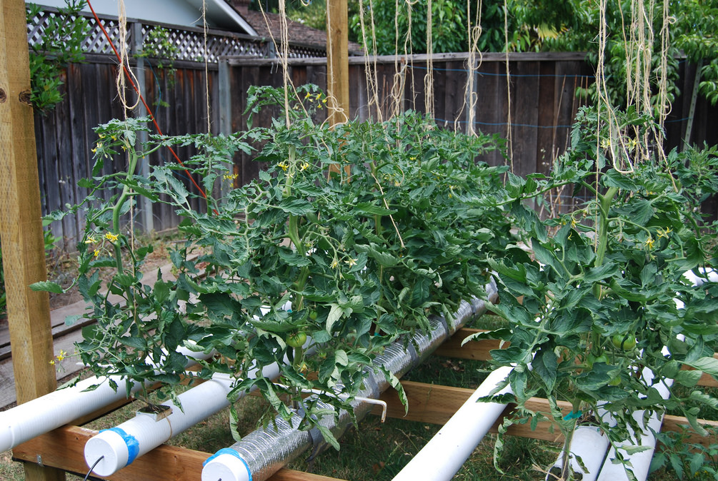 Drip hydroponic s ystem