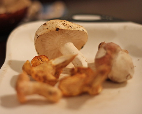 Mushrooms