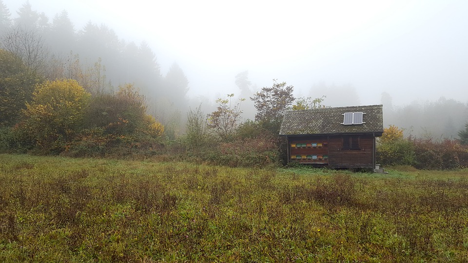 cabin