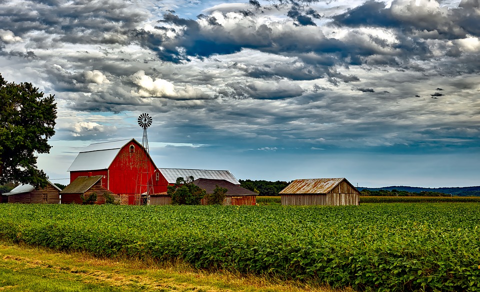 Homesteading in a barn