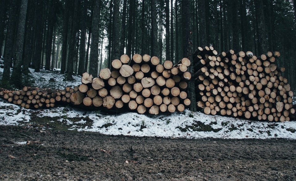 wood