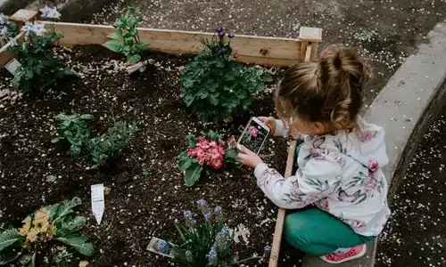 Little Girl taking a picture of the flower