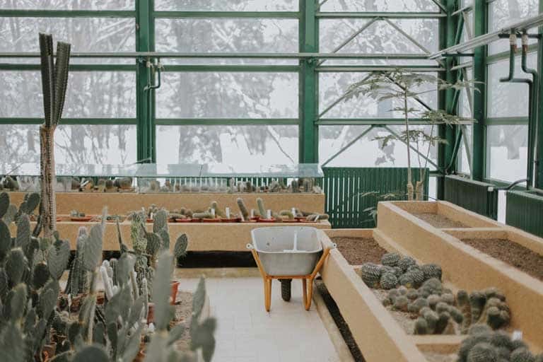 Raised garden bed ideas