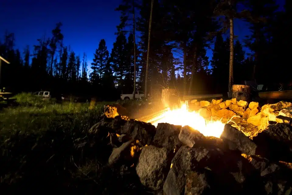 fire pit on the forest