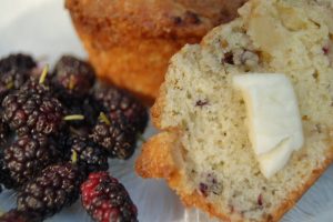 Mulberry Apple Muffins
