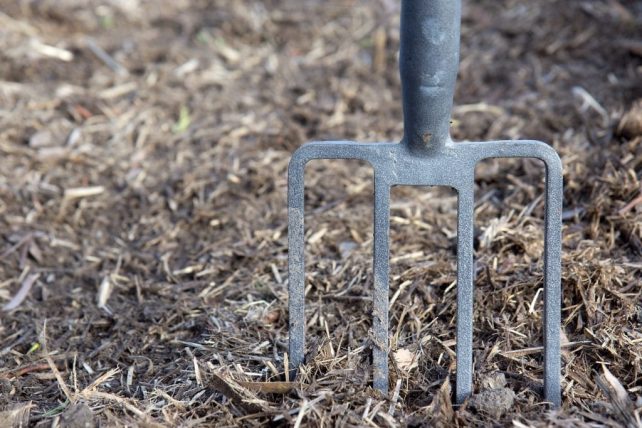 Facts about using Wood Chip Mulch