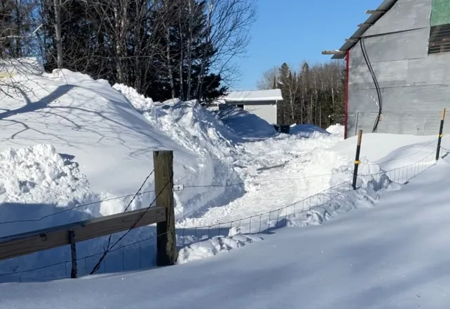 a yard with 4 feet of snow