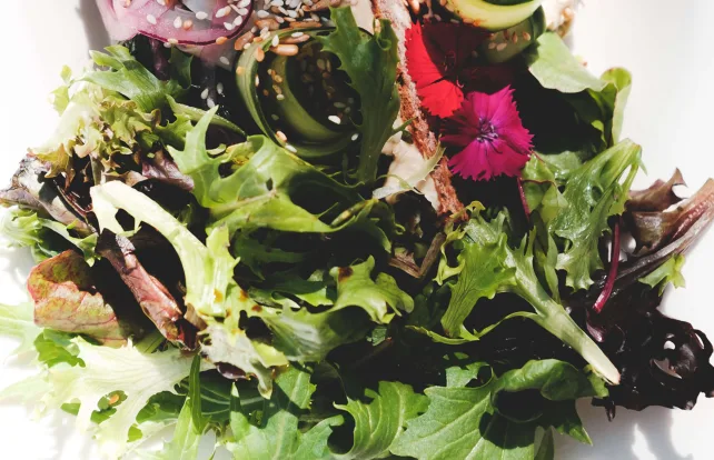 Mesclun salad mix on a plate