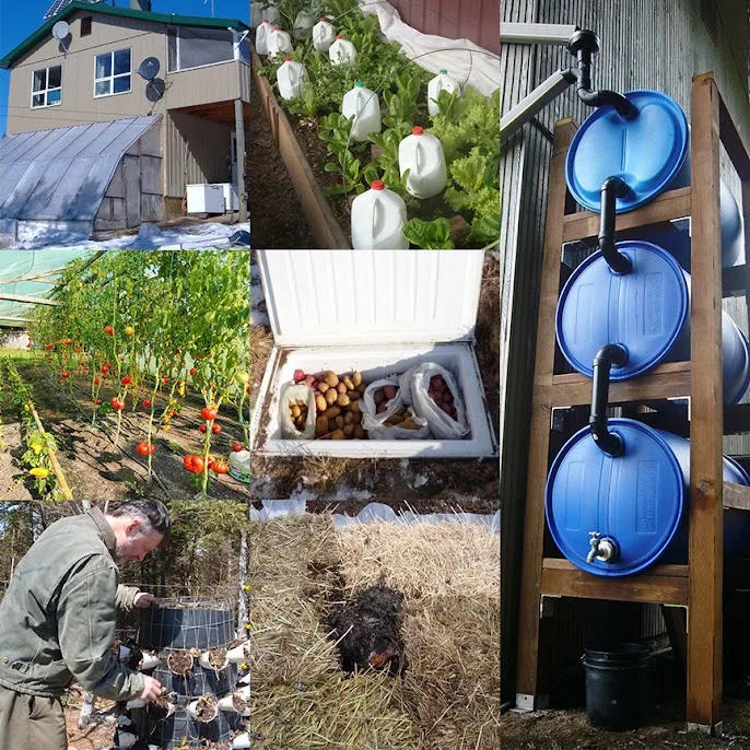 backyard homesteading projects