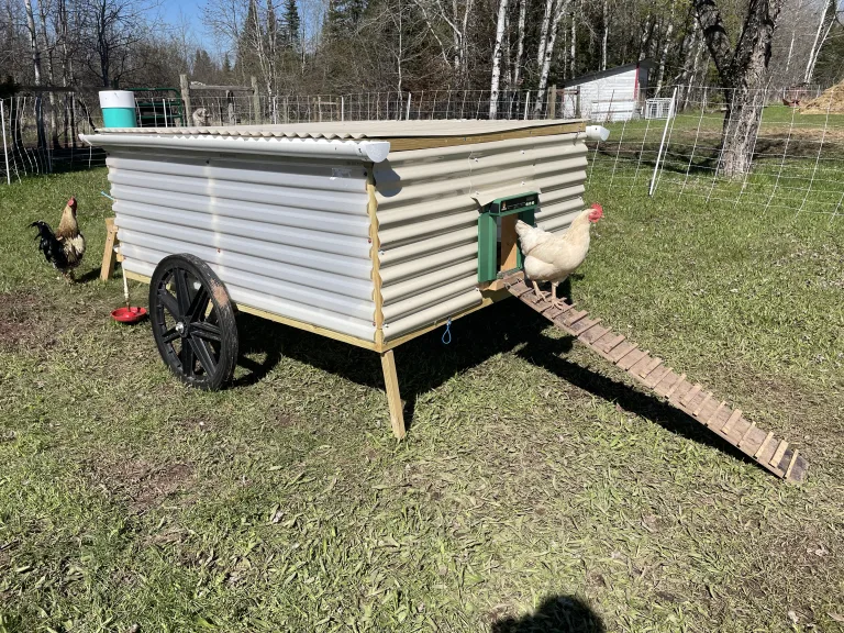 Making a DIY Mobile Chicken Coop