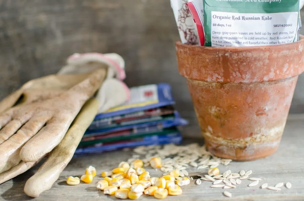 How to Store Extra Seeds from your Vegetable Garden