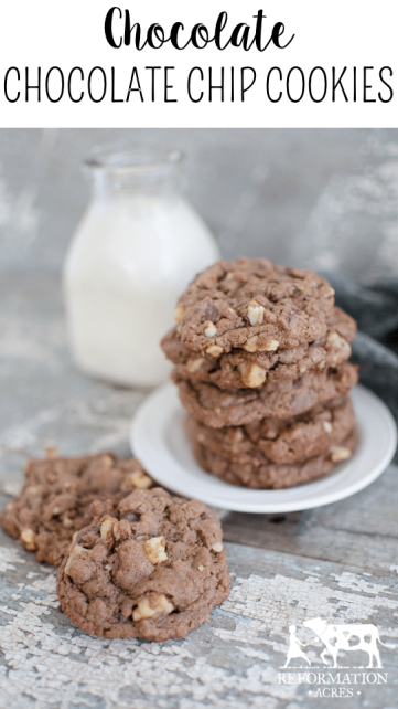 Everything's better with double chocolate, right? Scratch Baked Chocolate Chocolate Chip Cookies- these are the perfect milk-dipping cookie! A must for every family's cookbook!