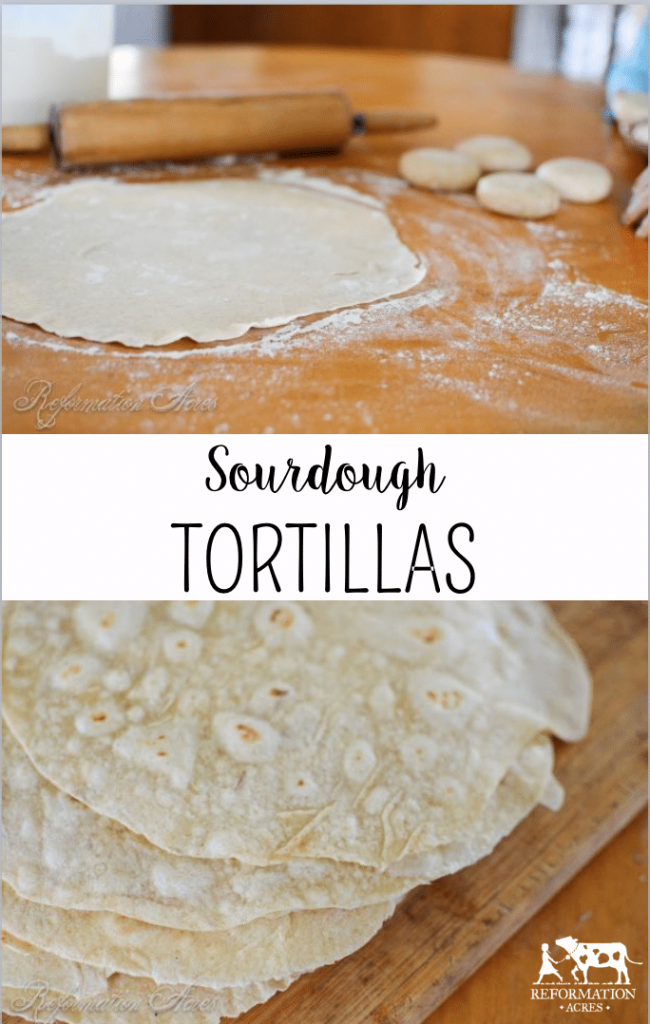 Homemade Sourdough Tortillas (These actually are really good & don't taste like cardboard!)