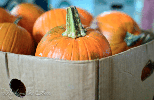 pumpkins in a cardboard box