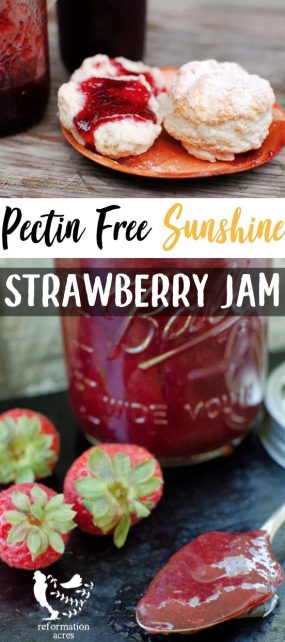 A beautiful, thick, rich, jewel colored pectin-free strawberry jam recipe made without large amounts of sweetener and infused with the flavor of the sun!