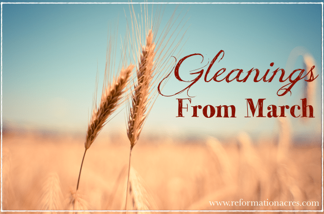 Gleanings From March: Link Love on Reformation Acres
