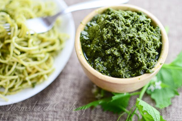 Garlic mustard, an invasive edible weed, works as both the garlic and green in when you turn it into tasty Garlic Mustard Pesto.