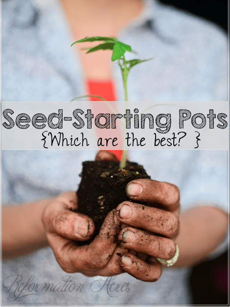 seed starting pots {Which are the best?}