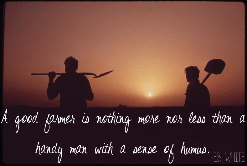 A good farmer is nothing more nor less than a handy man with a sense of humus