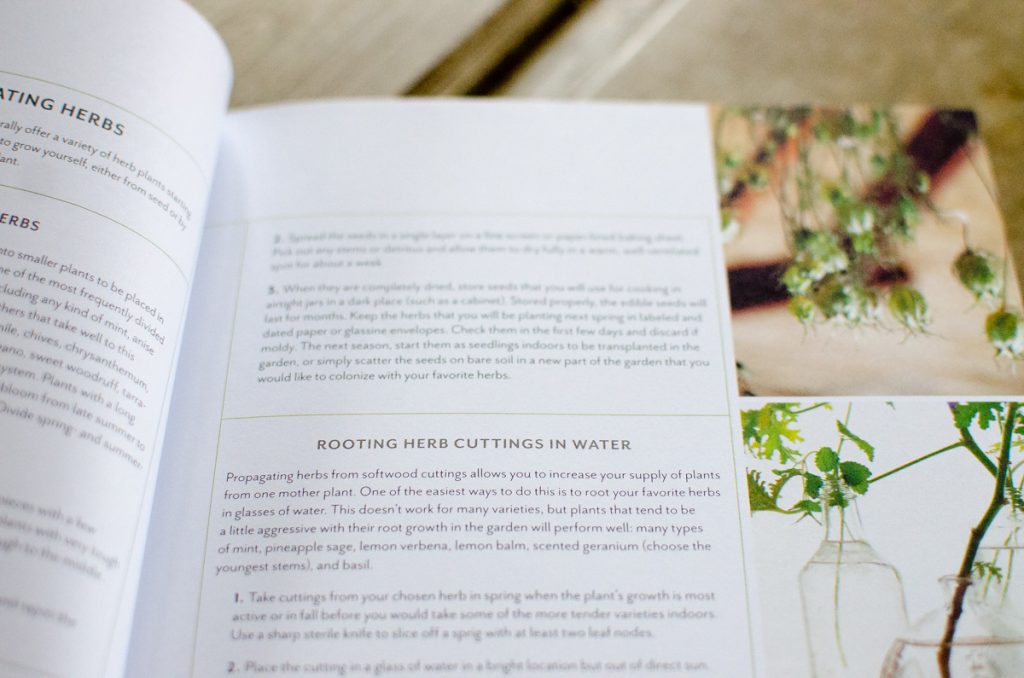 The New American Herbal-3
