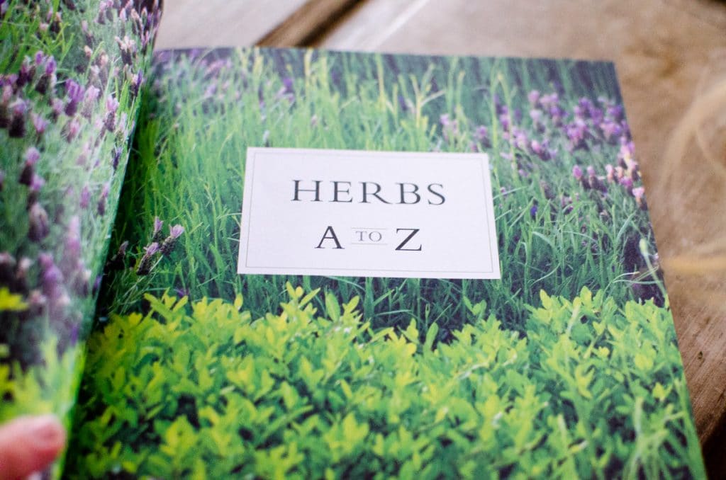 The New American Herbal-6