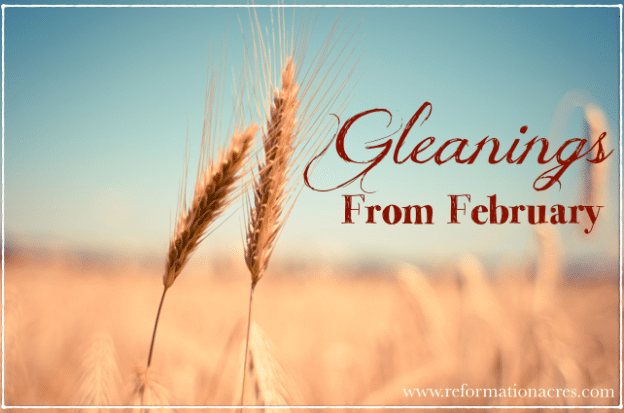 february. gleanings from