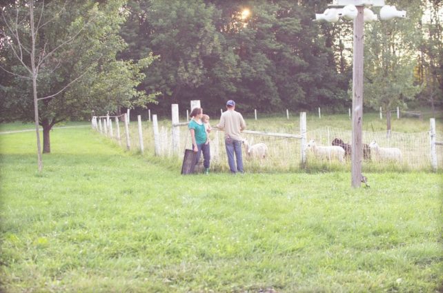 Day in the Life of a Homesteader-106