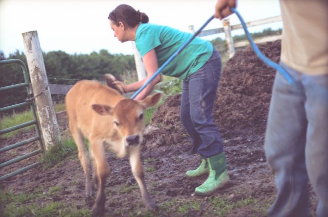Day in the Life of a Homesteader-148