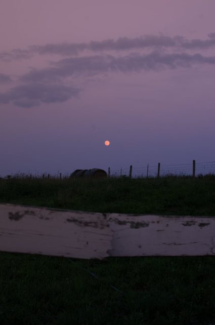 Day in the Life of a Homesteader-150