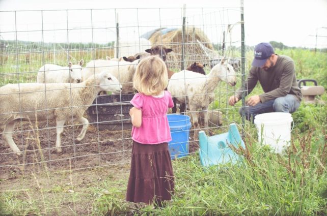Day in the Life of a Homesteader-16
