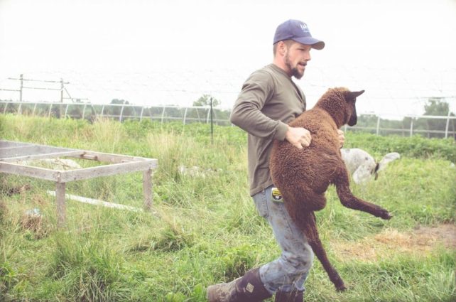 Day in the Life of a Homesteader-18