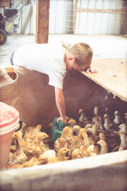 Day in the Life of a Homesteader-46