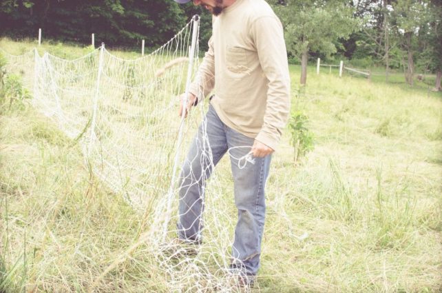 Day in the Life of a Homesteader-51