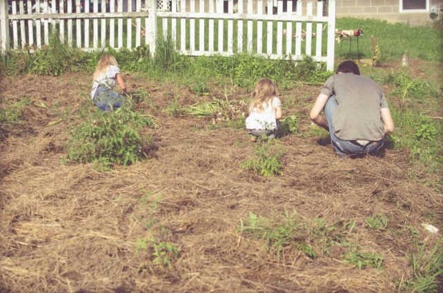 Day in the Life of a Homesteader-61