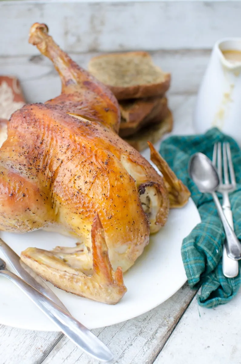 roast chicken_whole on white plate