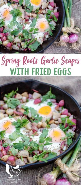 Spring Roots & Garlic Scapes with Fried Eggs