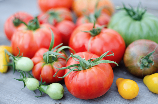 Garden-Fresh & Chunky Heirloom Tomato Salsa (with instructions for canning!)