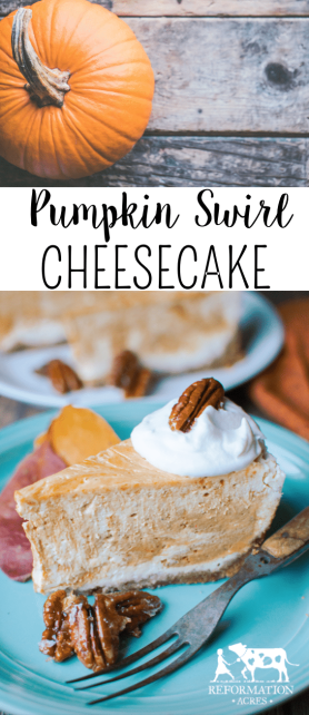 Pumpkin Swirl Cheesecake with Ginger Candied Pecans + 5 Cheesecake Baking Tips