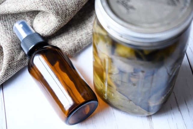Need a DIY Sore Throat Remedy? Try this soothing natural Echinacea Throat Spray made with the herbal ingredients echinacea purpea, sage tea, and propolis. A mist to the back of your throat brings instant relief!