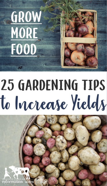 Want to grow enough vegetables to eat fresh and can? Maximize your garden space and increase yields with these 25 gardening tips to grow more in less space!